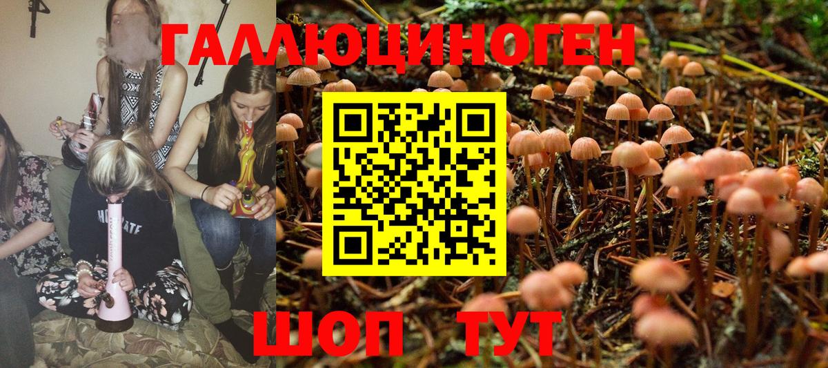 Барабинск  Галлюциногенные грибы Psilocybe  Вход с VPN 